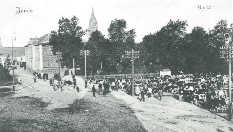 Postkarte Viehmarkt 1900