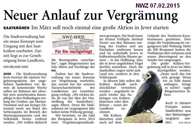 Neuer Anlauf